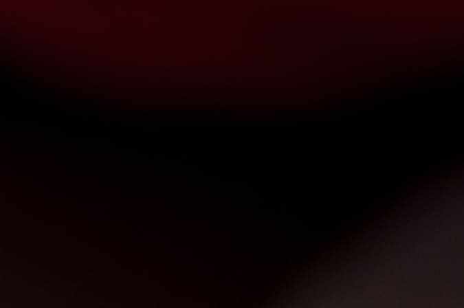 Chuletas de cerdo rellenas