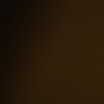 Flautas de carne al pastor