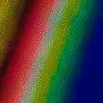 Flautas de cochinita pibil