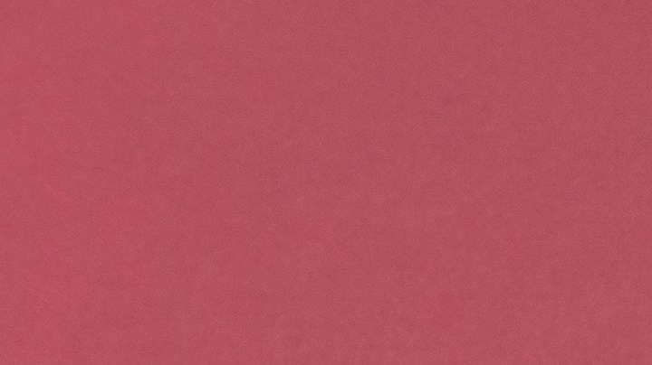 Flautas de flor de calabaza