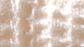 Pappardelle con espárragos