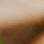 pappardelle con vegetales de verano y pesto