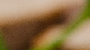 pappardelle con vegetales de verano y pesto