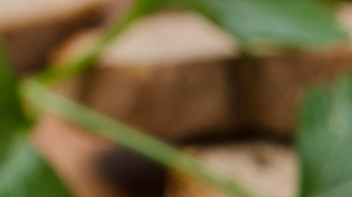 pappardelle con vegetales de verano y pesto