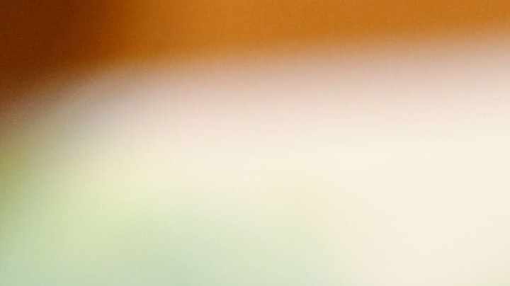 Pechugas de pollo a la plancha con salsa de piña