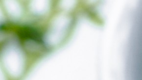 Pappardelle cuatro quesos