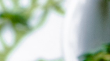 Pappardelle cuatro quesos