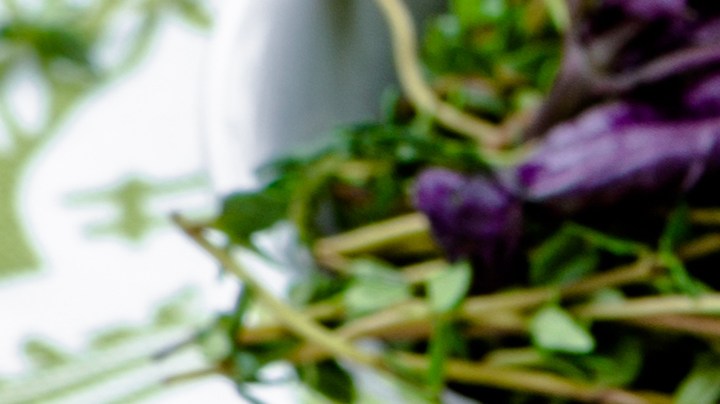 Pappardelle cuatro quesos