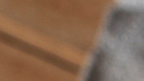 Rigatoni alla Boscaiola