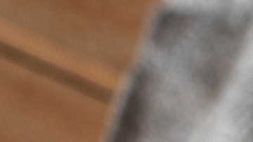 Rigatoni alla Boscaiola