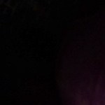 Rollos de lechuga con camarón y mango