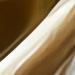 Wrap de lechuga con pollo y mango