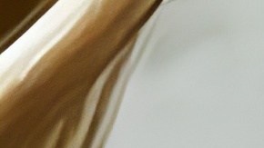 Wrap de lechuga con pollo y mango