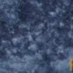 Plato hondo con gambas guisadas decoradas