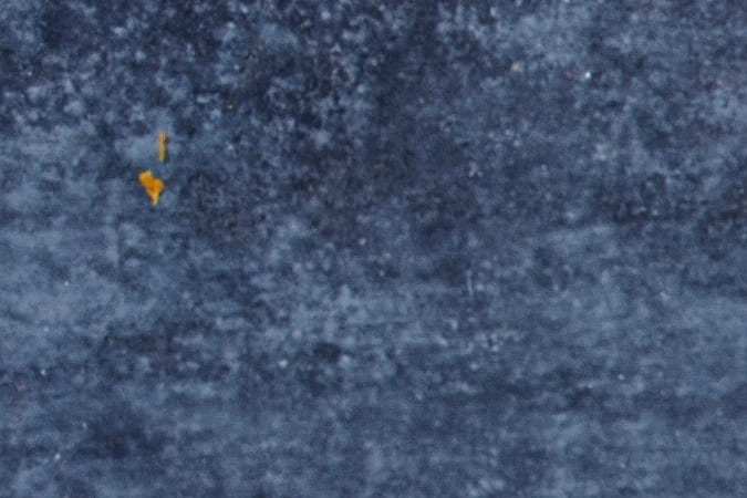 Plato hondo con gambas guisadas decoradas