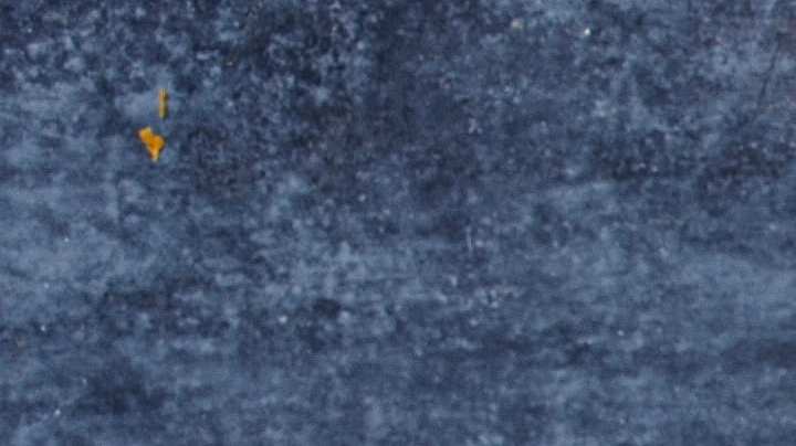 Plato hondo con gambas guisadas decoradas