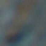 Milanesas empanizada con mostaza y miel