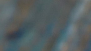 Milanesas empanizada con mostaza y miel