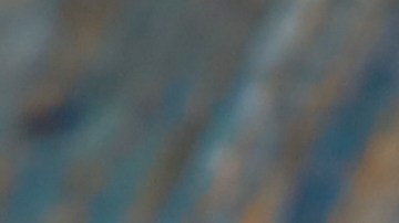 Milanesas empanizada con mostaza y miel