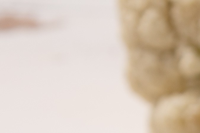 Osobuco a la mostaza