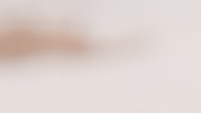 Osobuco a la mostaza