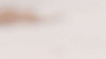 Osobuco a la mostaza