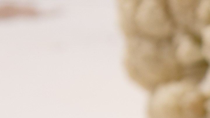 Osobuco a la mostaza