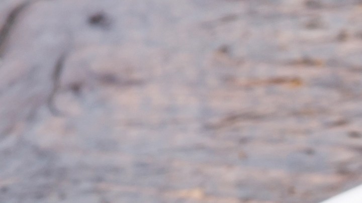 Osobuco con puré de coliflor