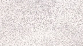 pasta integral con champiñones y verdura