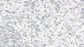 Pappardelle con espinacas y champiñones