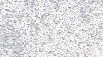 Pappardelle con espinacas y champiñones