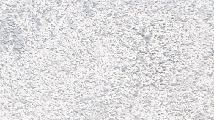 Pappardelle con espinacas y champiñones