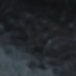 osobuco en salsa bbq