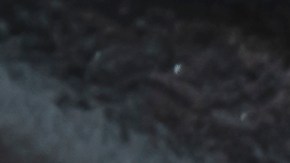 osobuco en salsa bbq