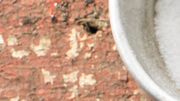 pechugas de pollo a la plancha con salsa de estragón