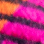 Alambre de res con queso