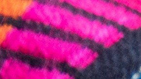 Alambre de res con queso