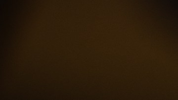 Flautas de chicharrón