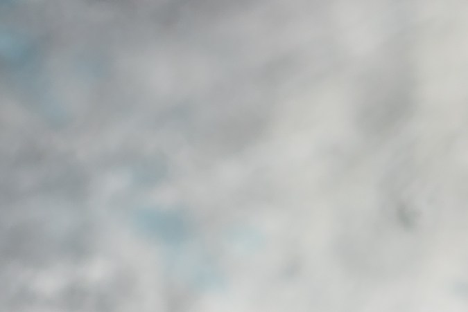 Pechugas de pollo a la plancha con judías verdes al ajo