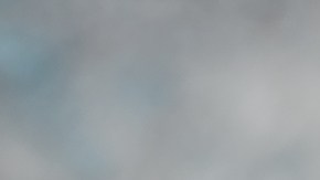 Pechugas de pollo a la plancha con judías verdes al ajo