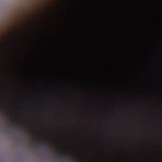 Flautas de huitlacoche