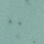 Pappardelle con camarones y limón