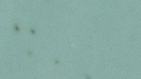 Pappardelle con camarones y limón