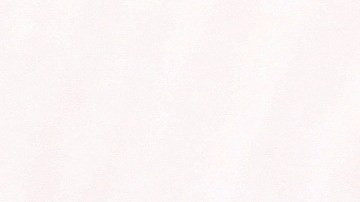 osobuco a la cordobesa