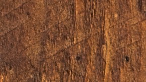 Pechugas de pollo a la plancha con ensalada de rúcula