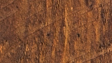 Pechugas de pollo a la plancha con ensalada de rúcula