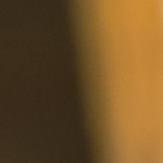 Arroz con cilantro y limón