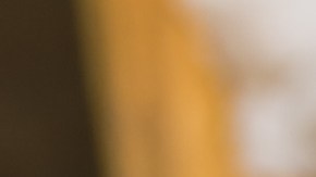 Arroz con cilantro y limón