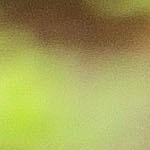 chuletas de cerdo a la mostaza