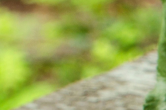 Chuletas de cerdo a la mostaza